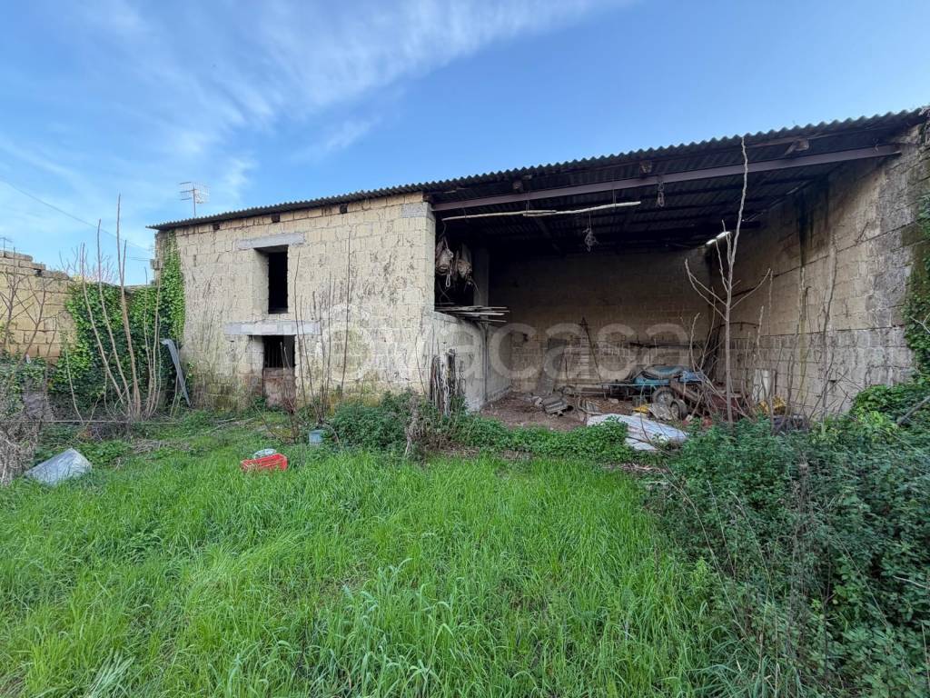 immagine annuncio 2 di 12