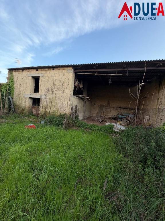 immagine annuncio 4 di 12