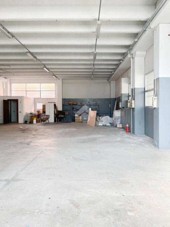 immagine annuncio 2 di 9