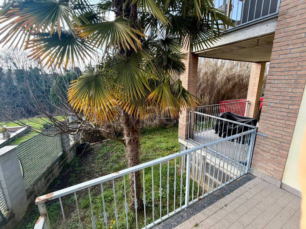 immagine annuncio 5 di 15