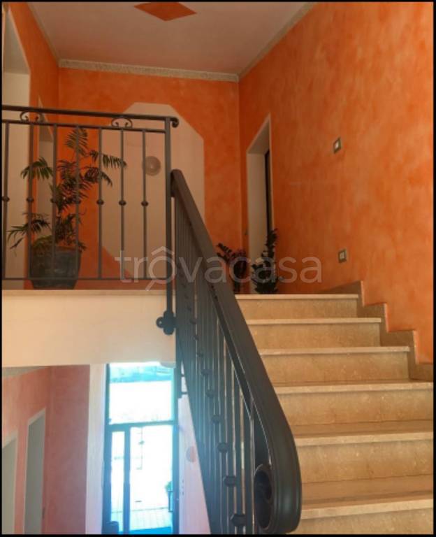 immagine annuncio 4 di 14