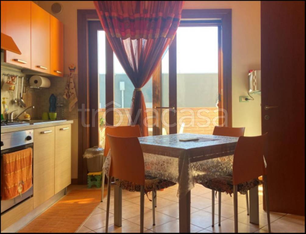 immagine annuncio 6 di 14