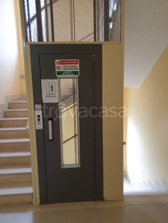 immagine annuncio 5 di 14