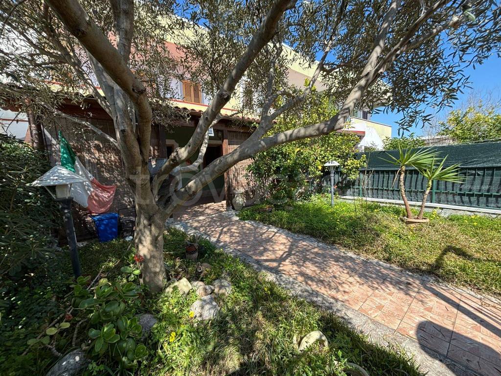 immagine annuncio 2 di 13