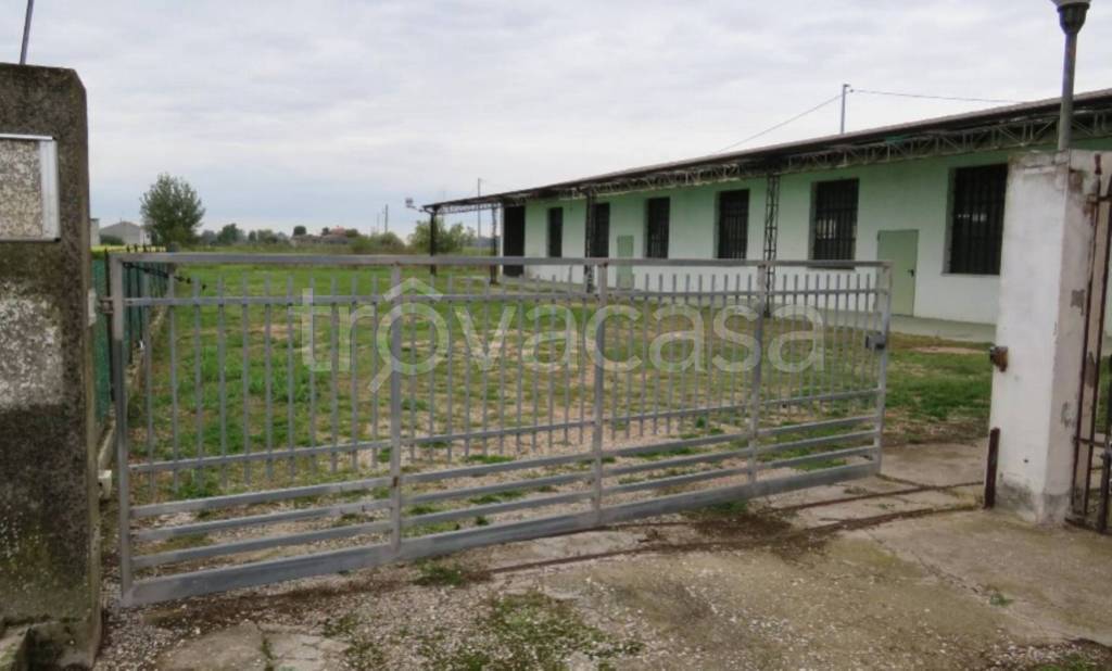 immagine annuncio 1 di 12