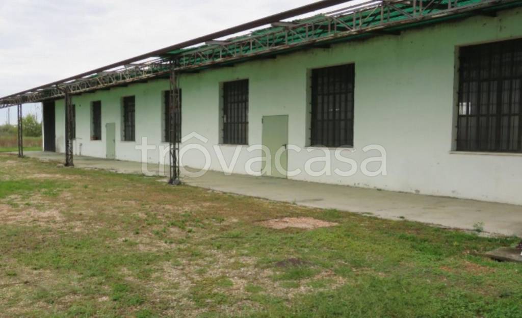 immagine annuncio 3 di 12