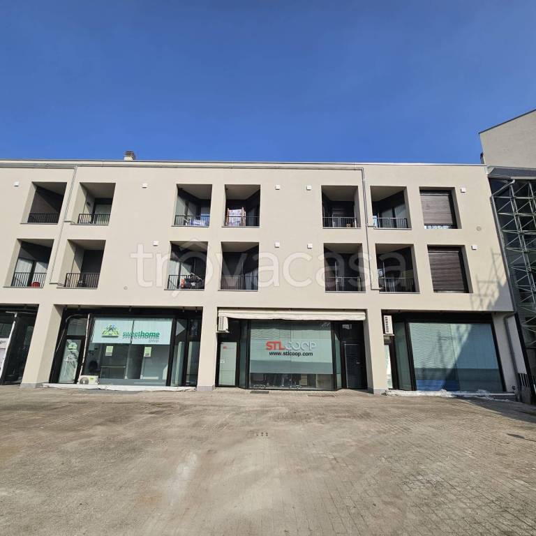 immagine annuncio 2 di 6