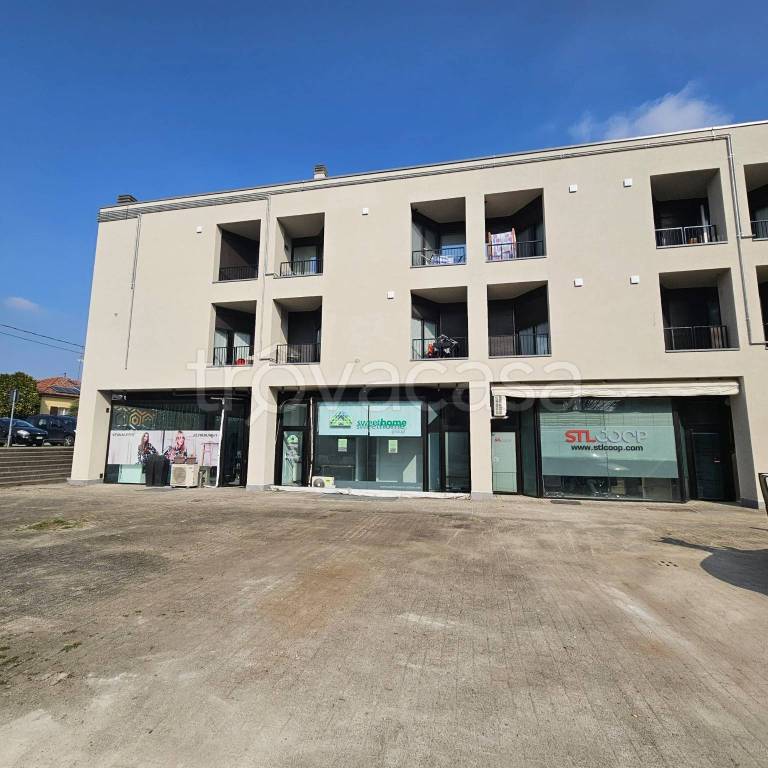 immagine annuncio 3 di 6