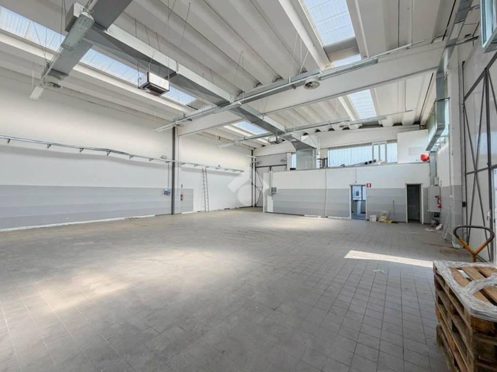 immagine annuncio 8 di 15