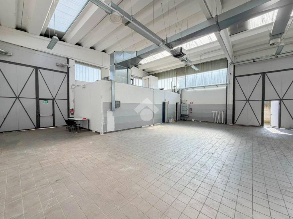 immagine annuncio 9 di 15