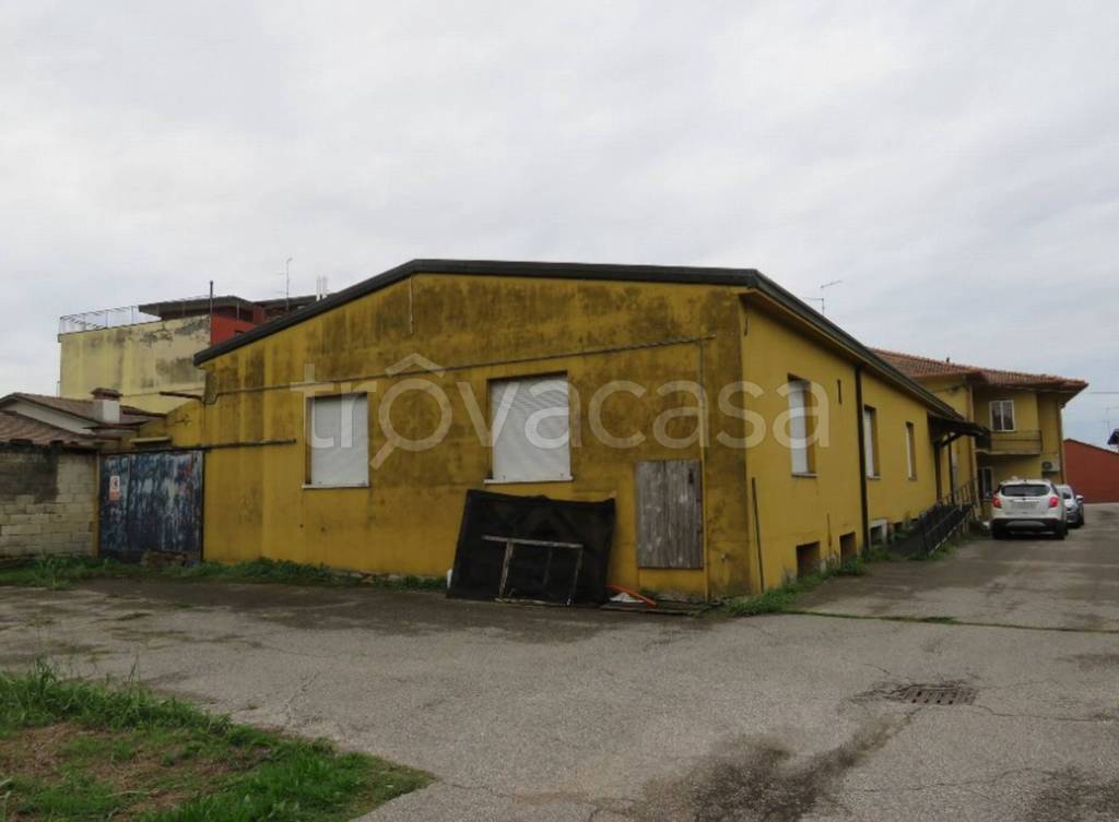 immagine annuncio 7 di 11