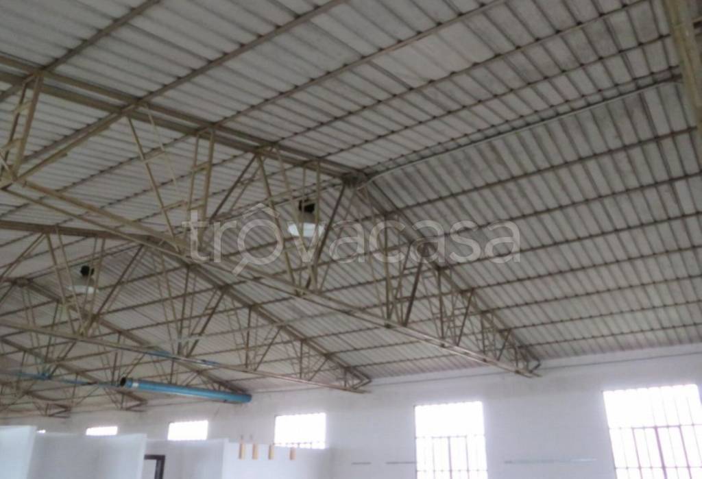 immagine annuncio 6 di 12