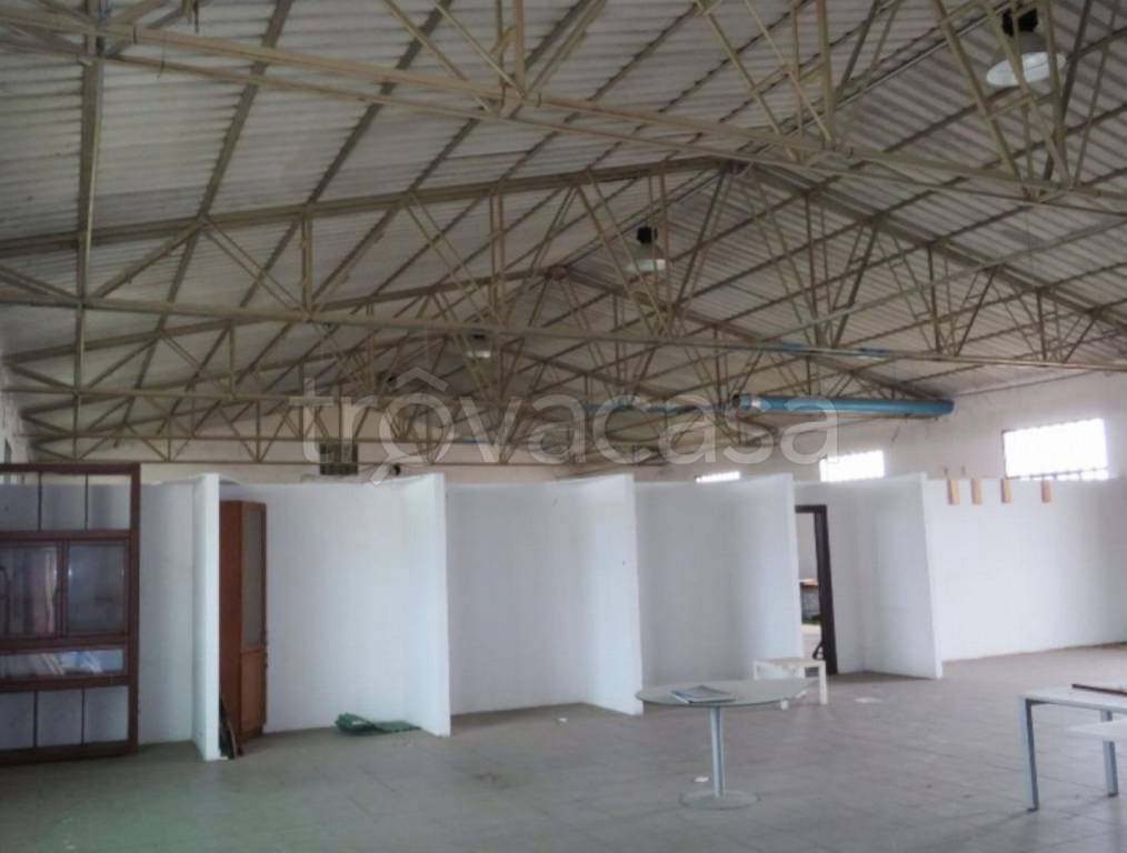 immagine annuncio 7 di 12