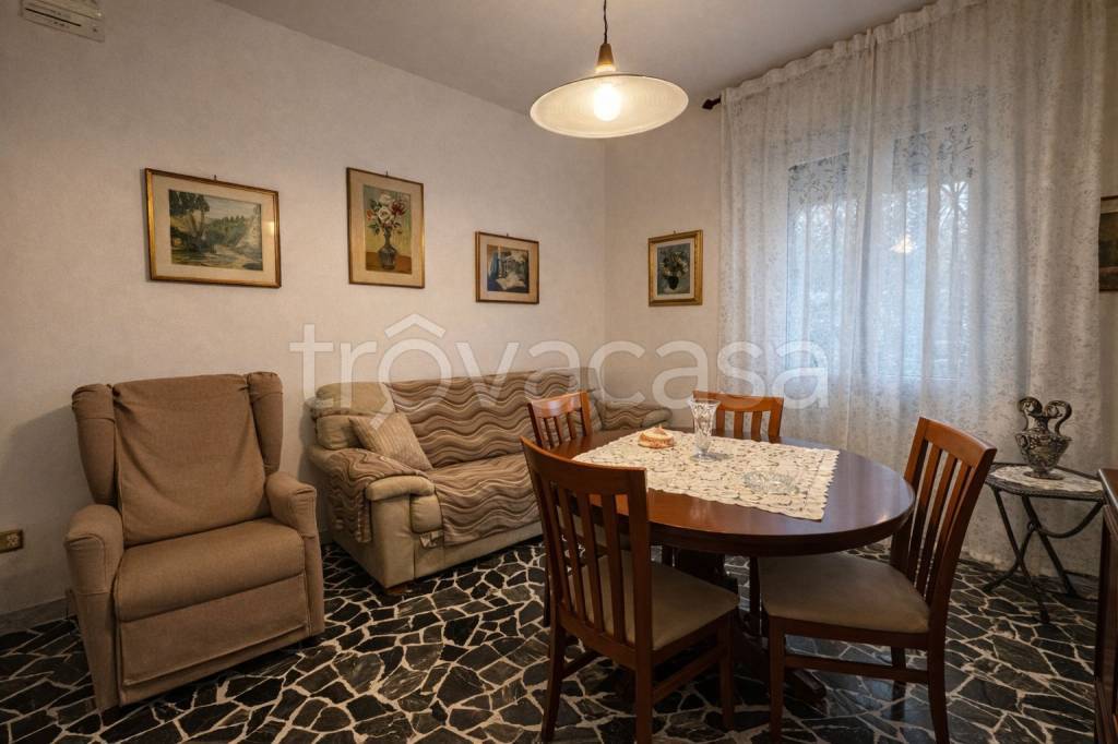 immagine annuncio 5 di 14