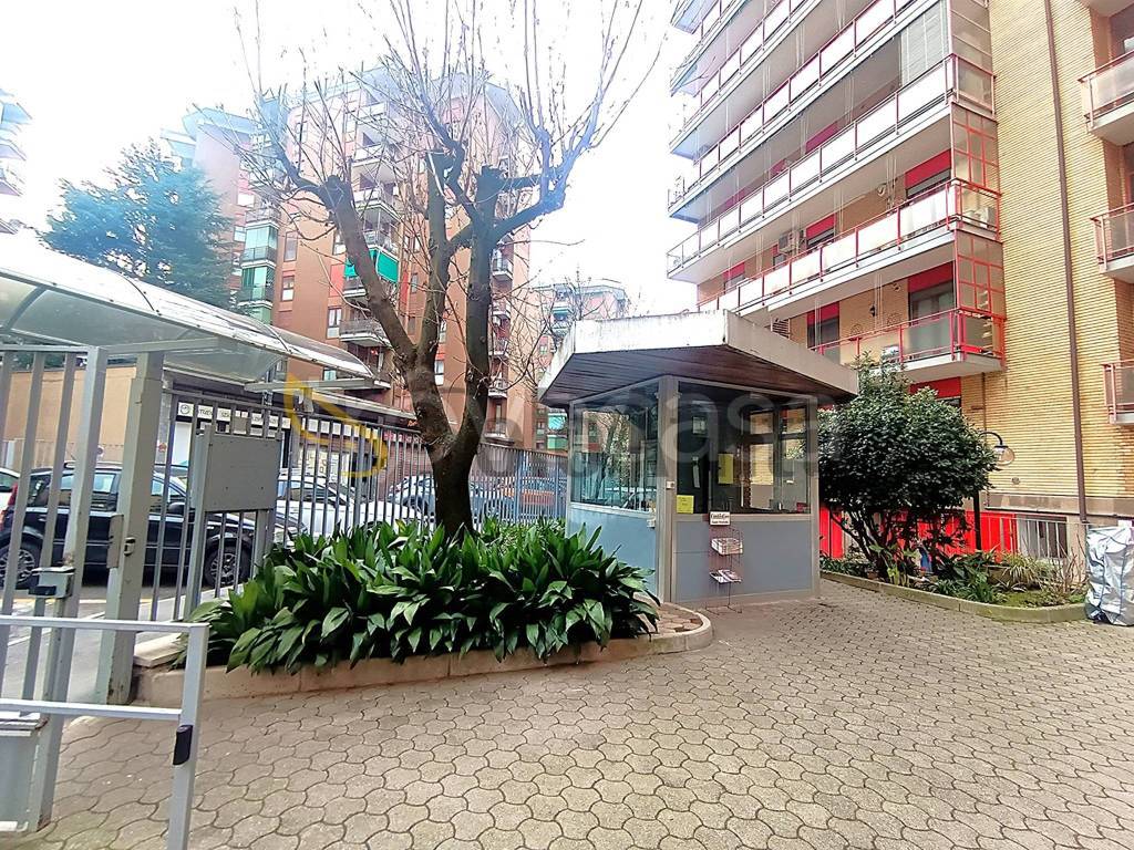 immagine annuncio 11 di 13