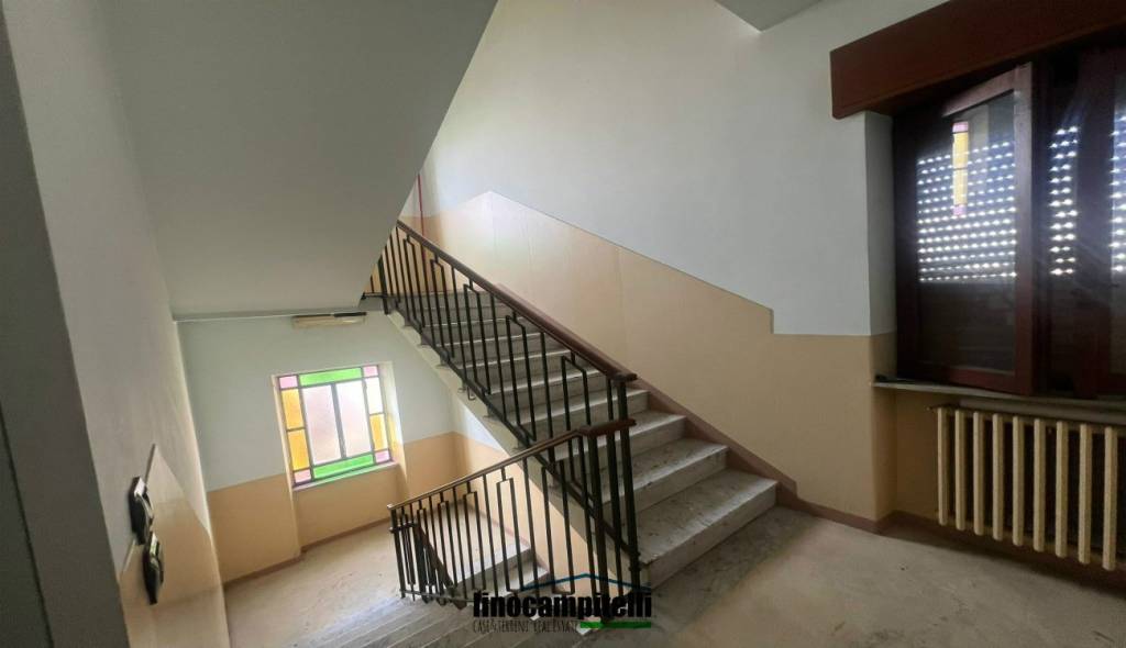 immagine annuncio 7 di 12