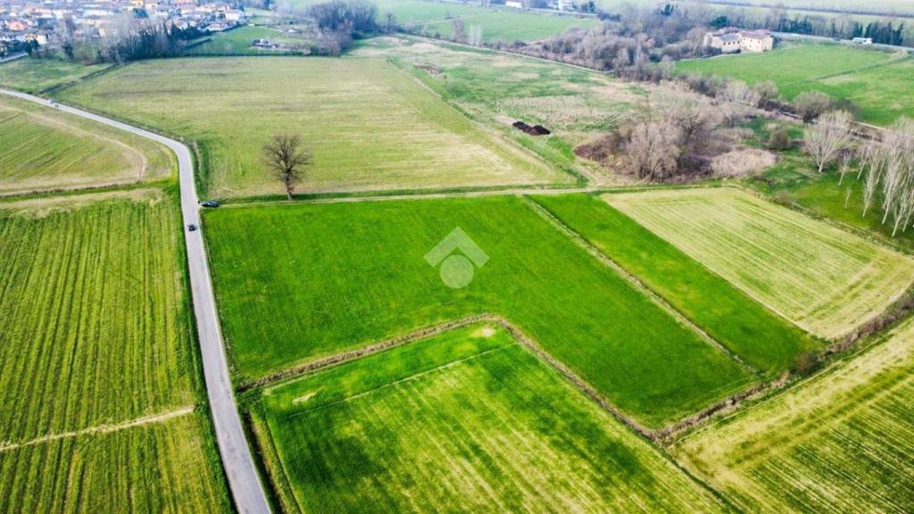 immagine annuncio 3 di 12