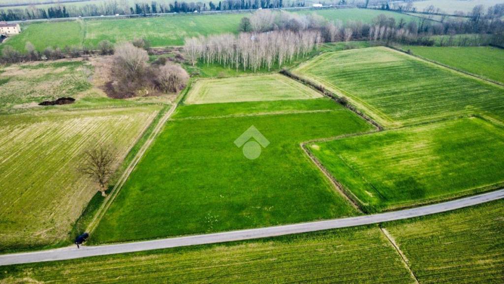 immagine annuncio 6 di 12