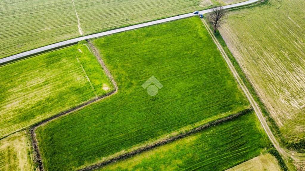 immagine annuncio 8 di 12