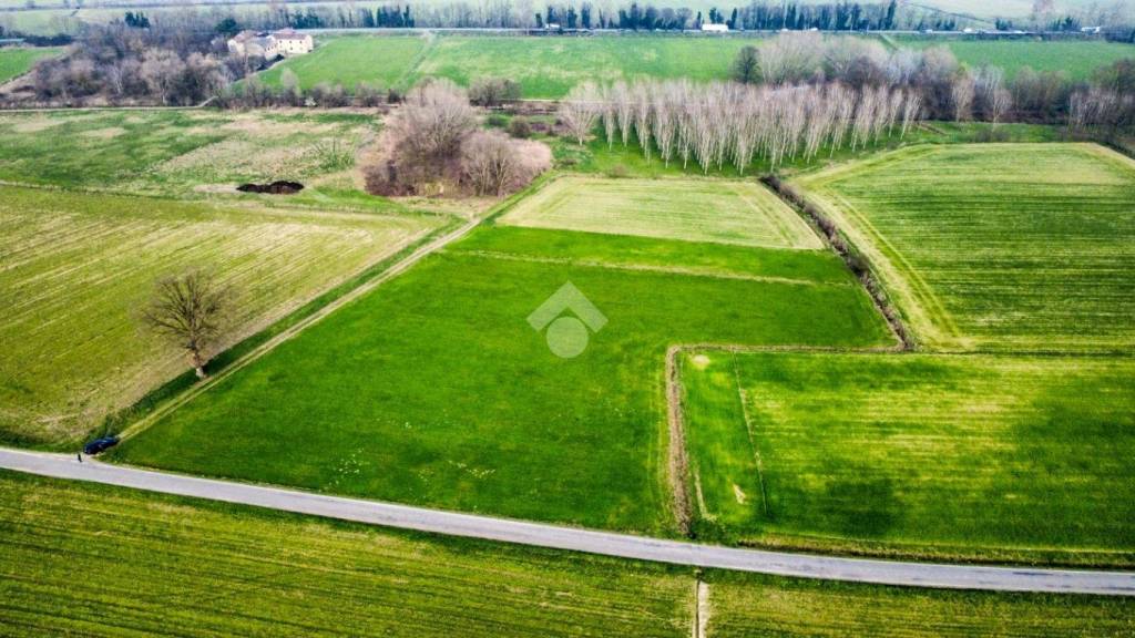 immagine annuncio 9 di 12