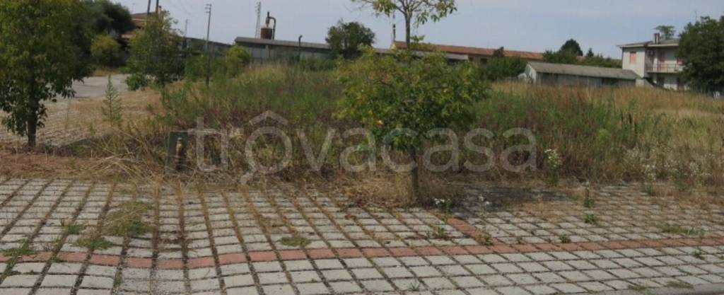 immagine annuncio 5 di 11