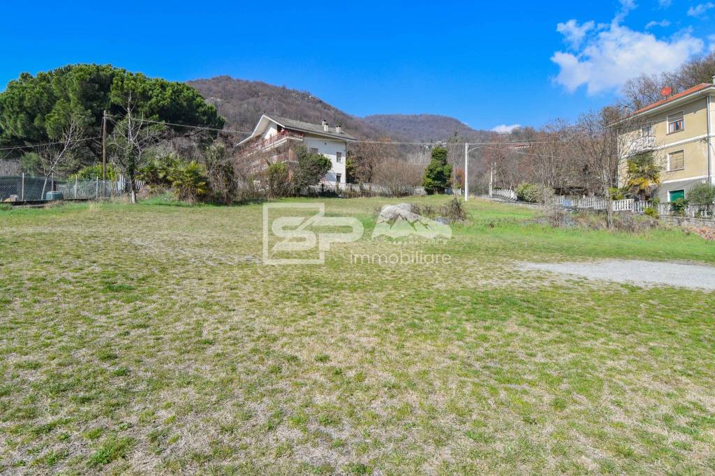 immagine annuncio 5 di 7