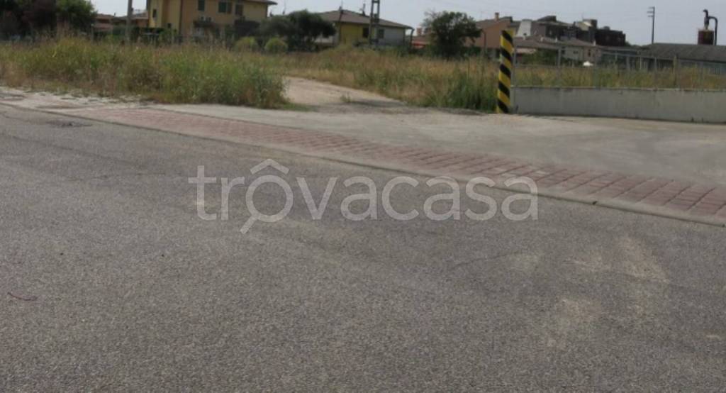 immagine annuncio 7 di 11