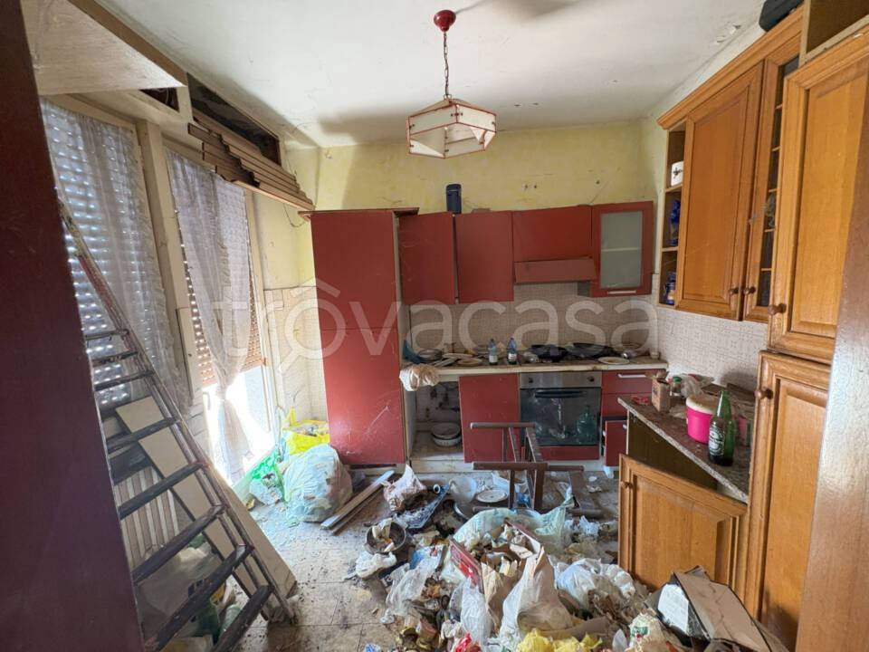 immagine annuncio 3 di 14