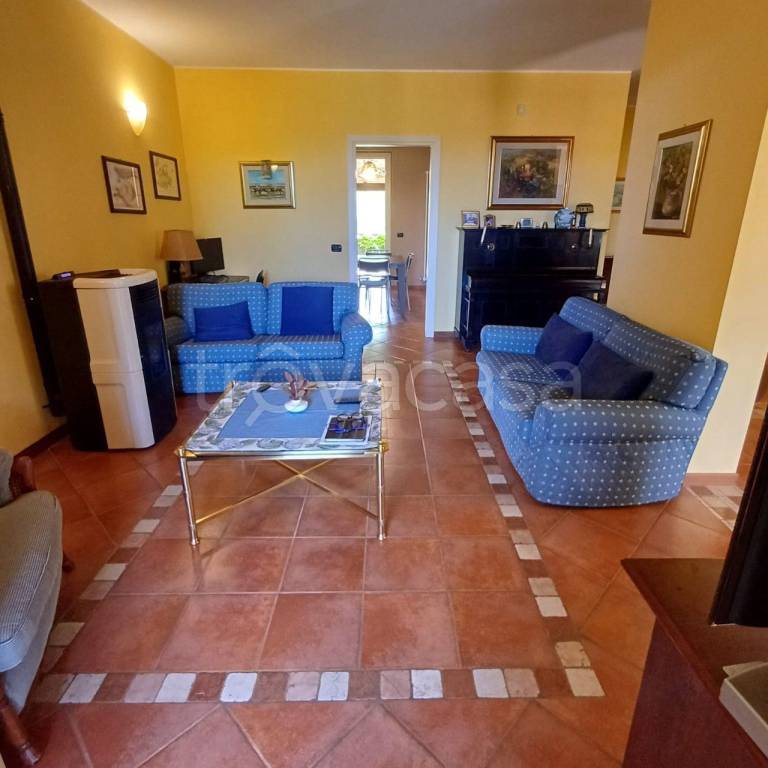 immagine annuncio 12 di 15