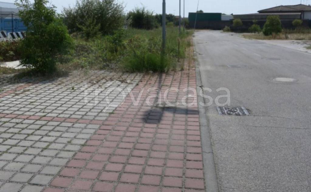 immagine annuncio 9 di 11