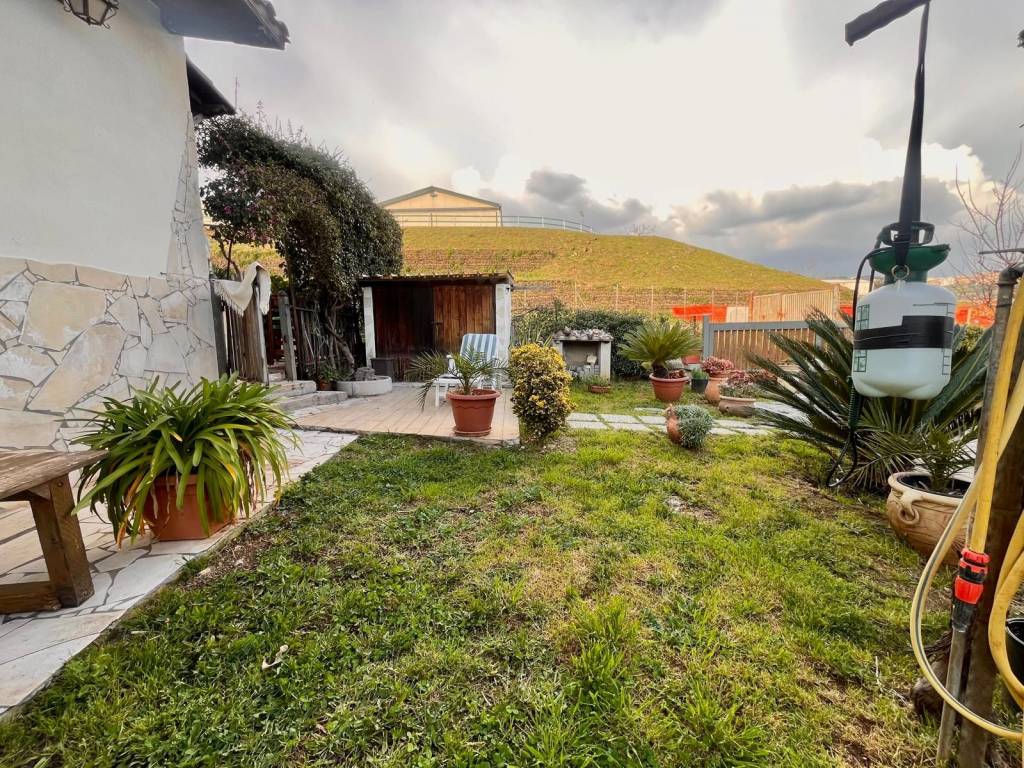 immagine annuncio 11 di 15