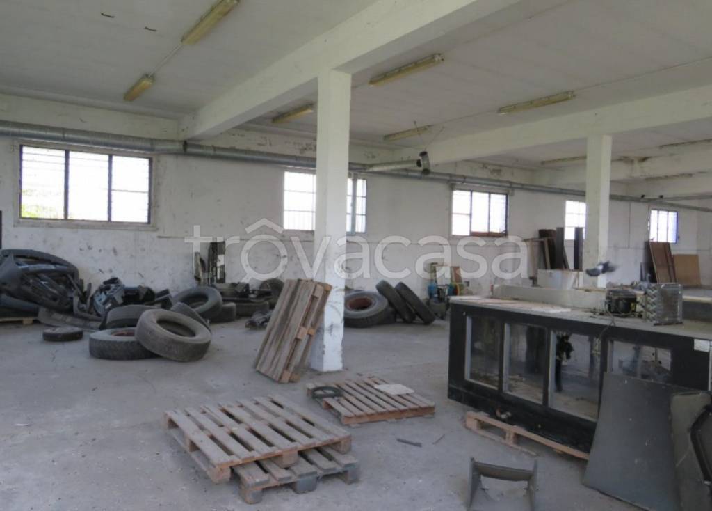 immagine annuncio 7 di 10