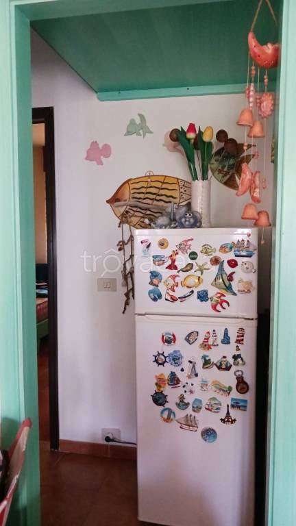 immagine annuncio 3 di 11