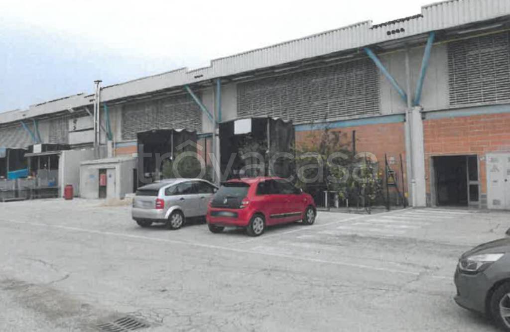 immagine annuncio 1 di 10