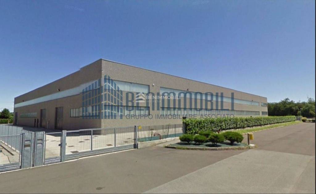 immagine annuncio 2 di 12