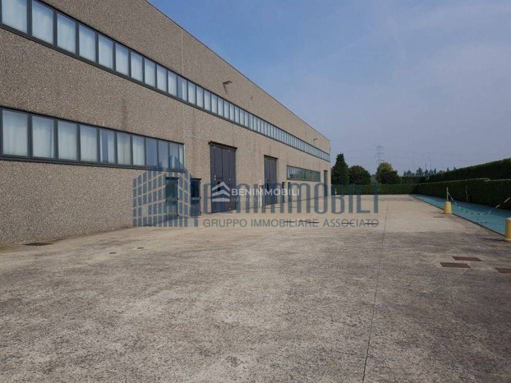 immagine annuncio 4 di 12