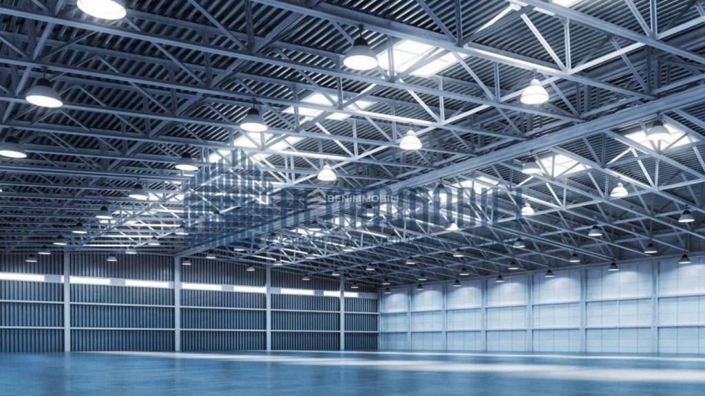 immagine annuncio 6 di 12