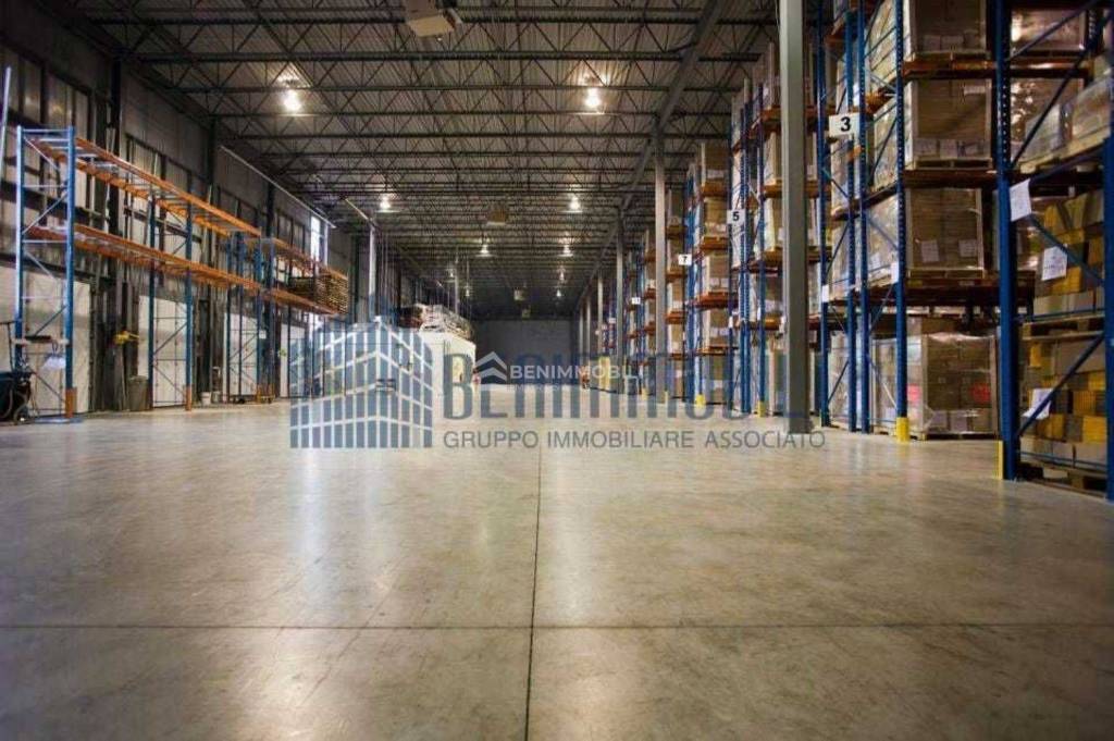 immagine annuncio 7 di 12