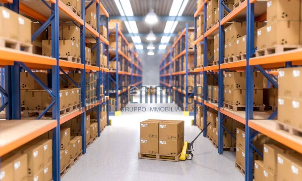 immagine annuncio 9 di 12