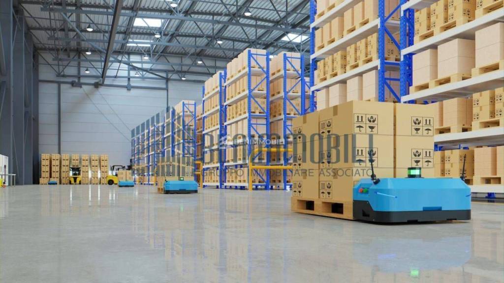 immagine annuncio 10 di 12