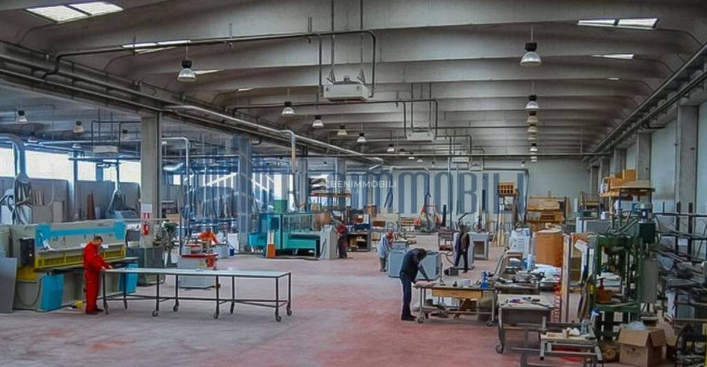 immagine annuncio 11 di 12