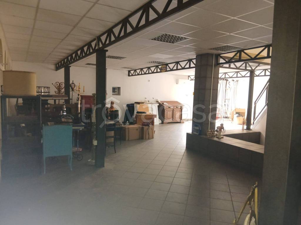 immagine annuncio 13 di 14