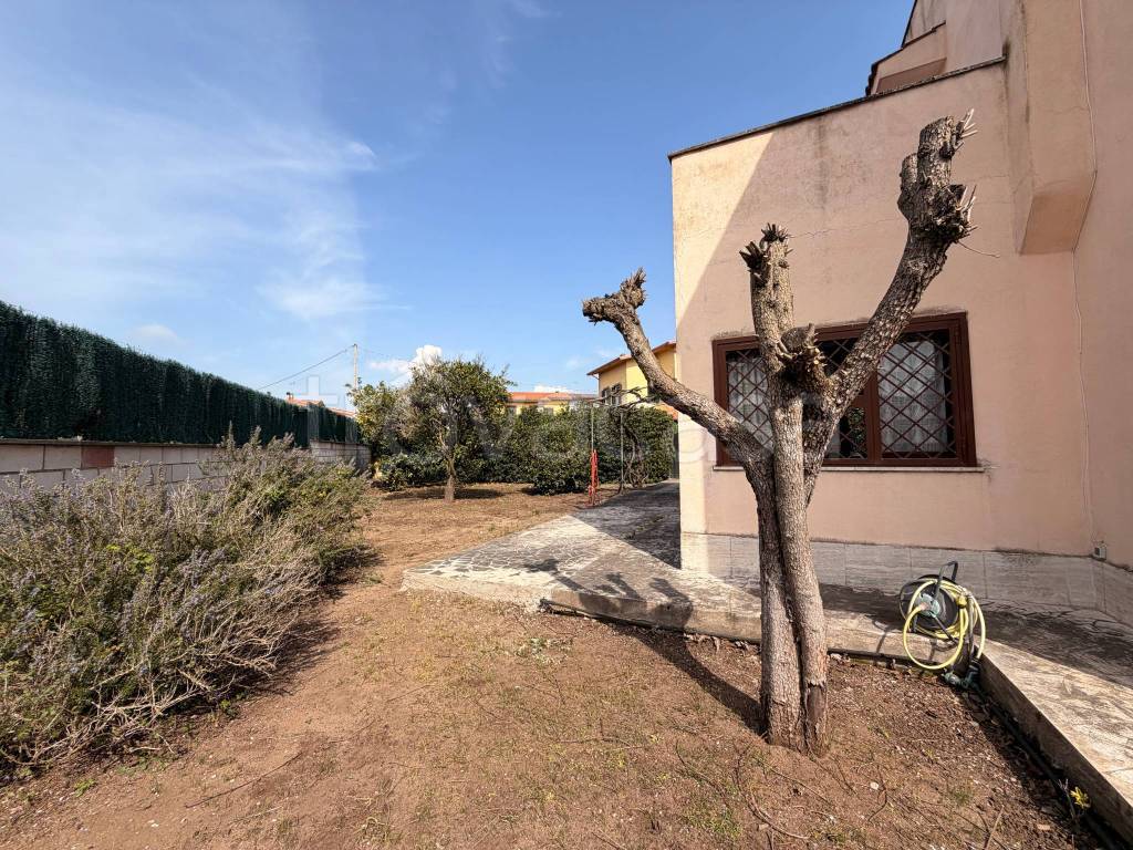 immagine annuncio 4 di 15