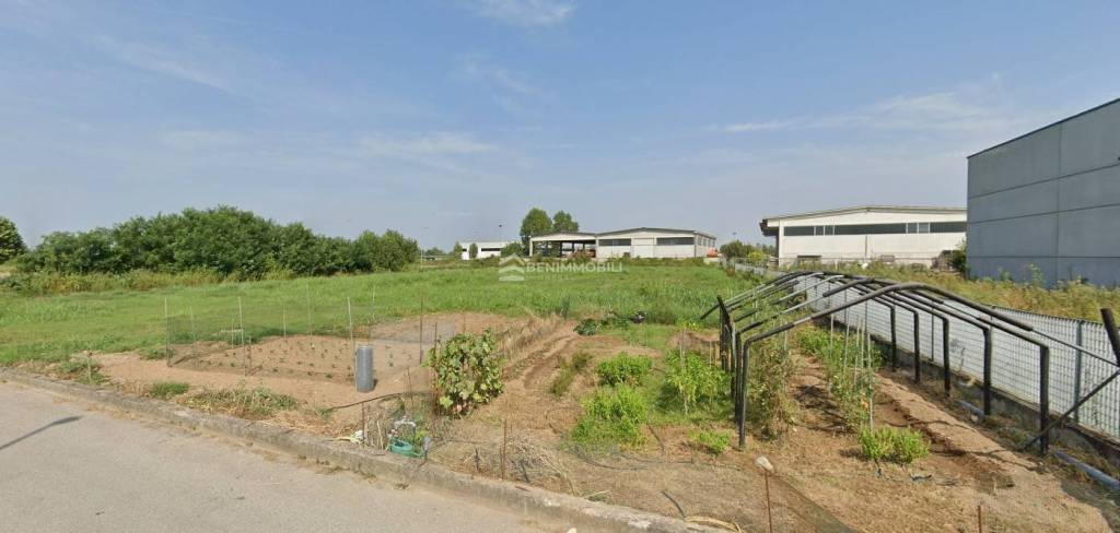 immagine annuncio 3 di 6