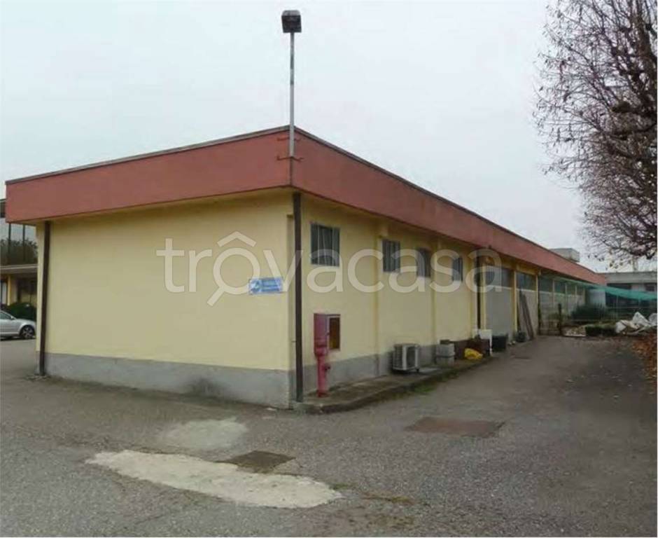 immagine annuncio 12 di 15