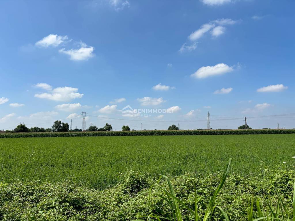 immagine annuncio 1 di 7