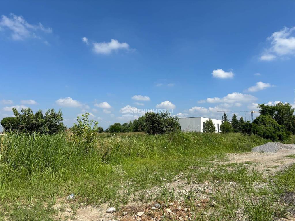 immagine annuncio 2 di 7