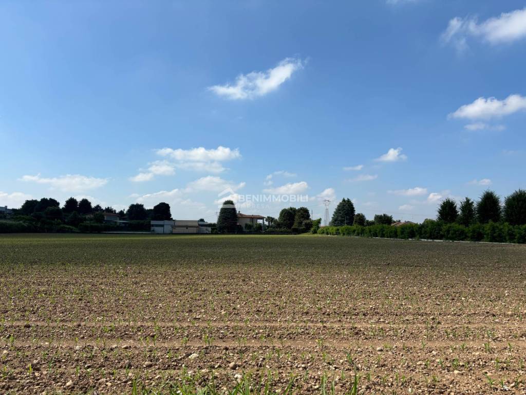 immagine annuncio 3 di 7