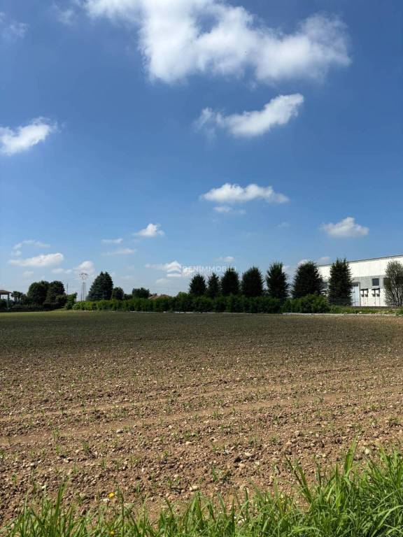 immagine annuncio 4 di 7