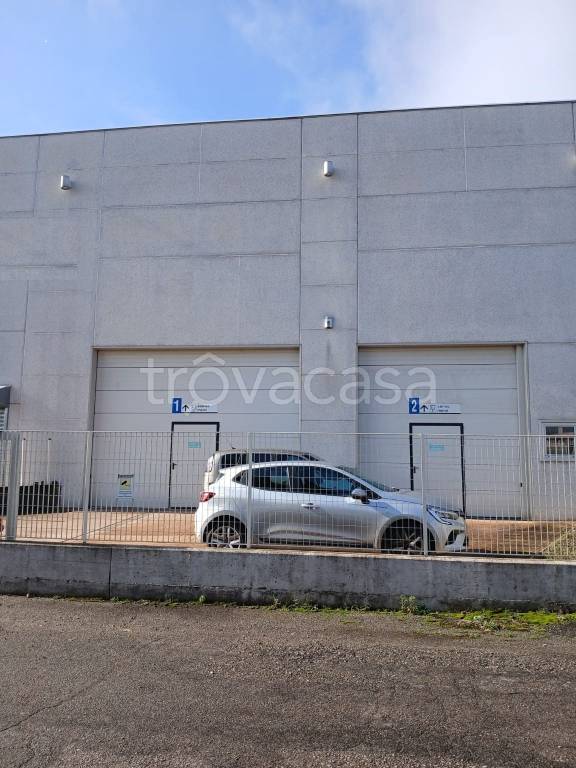 immagine annuncio 9 di 15